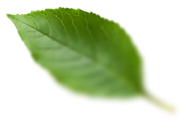 list